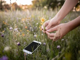 Effective Tips for a Successful Social Media Detox