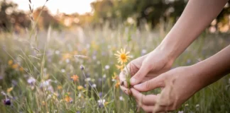 Effective Tips for a Successful Social Media Detox